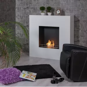 Elite ethanol haard