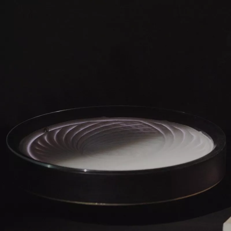 Sandsara Obsidiaan